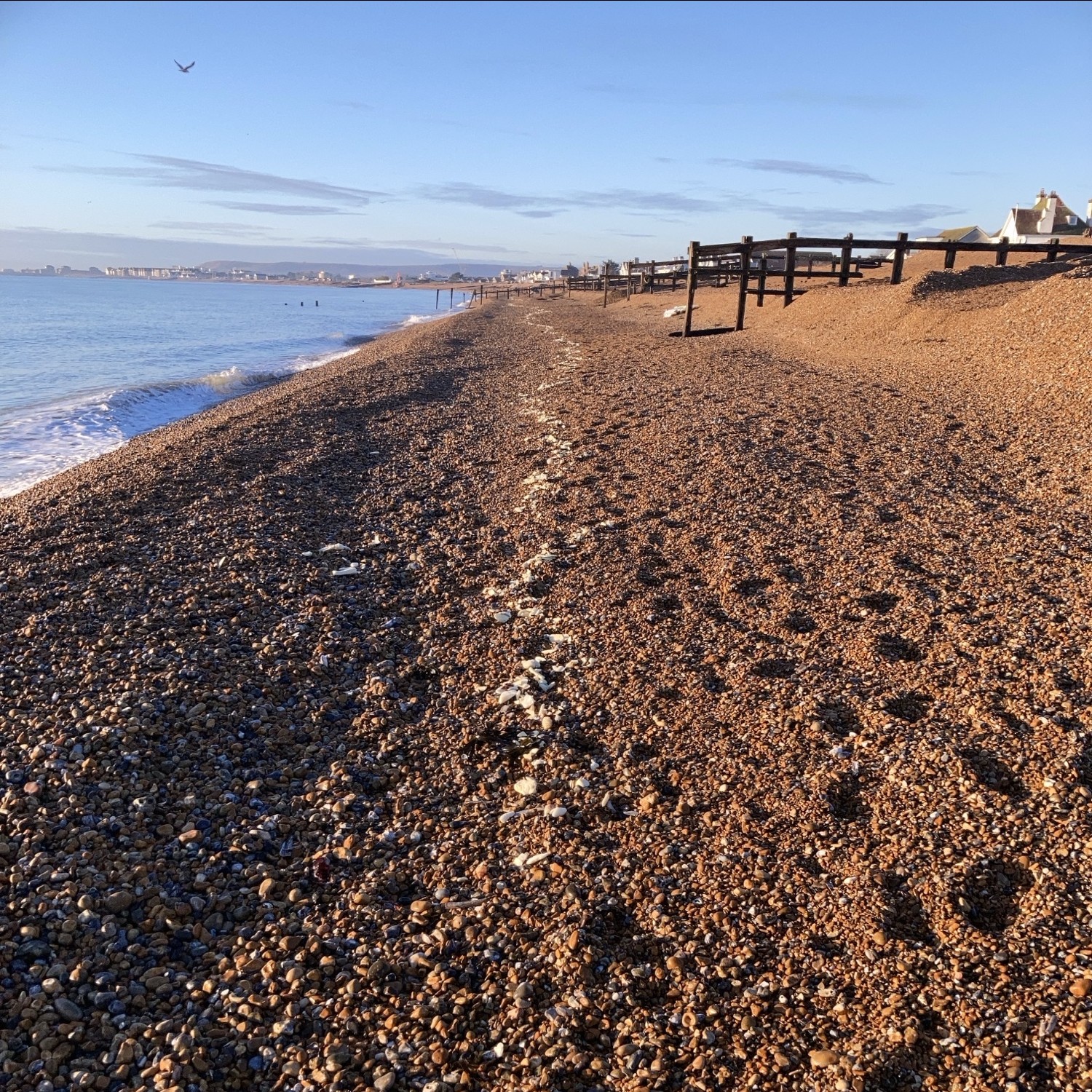 Volunteer with Naseem Foundation